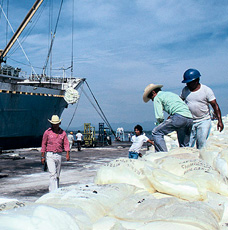 Shipping Agriculture Cargo in Mexico