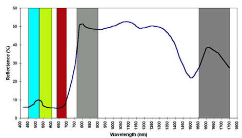 Precision agriculture graph