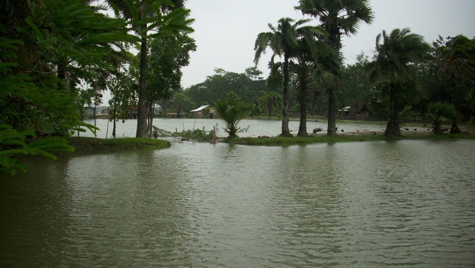 Inundated farm lands and fish ponds, in the wake of Cyclone Sidr.