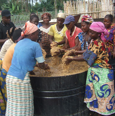 Women preparing rice