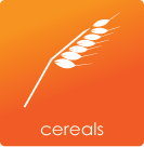 Cereals Learning Videos