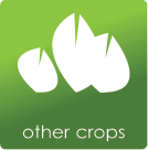 Other Crops Leraning Videos
