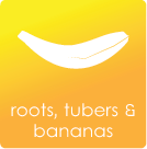 Roots and Tubers